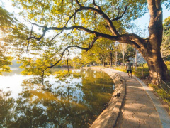 Ảnh bìa bài viết 739508