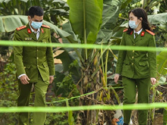 Ảnh bìa bài viết 739519