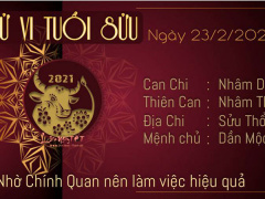Ảnh bìa bài viết 739499