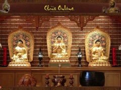 Ảnh bìa bài viết 739809
