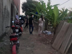 Ảnh bìa bài viết 740016