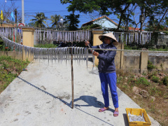 Ảnh bìa bài viết 740131