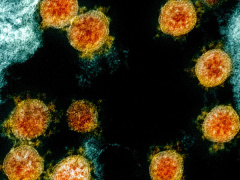 Ảnh bìa bài viết 740054