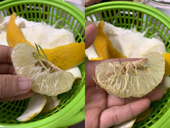Ảnh bìa bài viết 740758