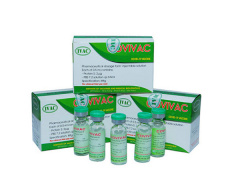 Ảnh bìa bài viết 740670