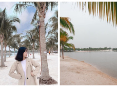 Ảnh bìa bài viết 740829