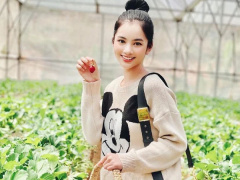 Ảnh bìa bài viết 740787