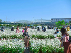Ảnh bìa bài viết 740769