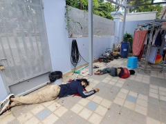 Ảnh bìa bài viết 741161