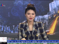 Ảnh bìa bài viết 741096