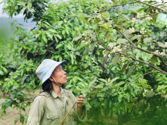 Ảnh bìa bài viết 741076