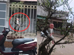 Ảnh bìa bài viết 741202