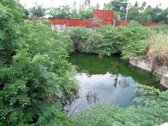 Ảnh bìa bài viết 741216