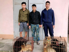 Ảnh bìa bài viết 741490