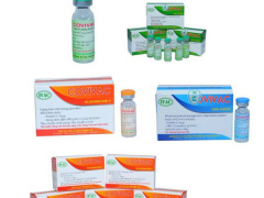 Ảnh bìa bài viết 741624
