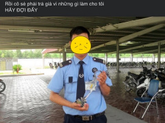 Ảnh bìa bài viết 741946