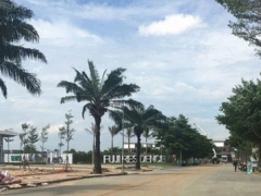 Ảnh bìa bài viết 741867