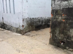 Ảnh bìa bài viết 741880