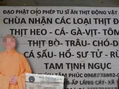 Ảnh bìa bài viết 741756