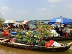 Ảnh bìa bài viết 742186