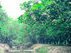 Ảnh bìa bài viết 742259