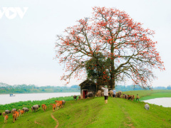 Ảnh bìa bài viết 742318