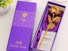Ảnh bìa bài viết 742386