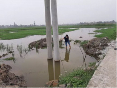 Ảnh bìa bài viết 742471
