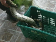 Ảnh bìa bài viết 742555