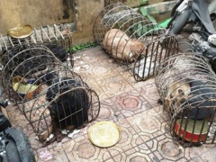 Ảnh bìa bài viết 742469