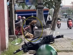 Ảnh bìa bài viết 742834