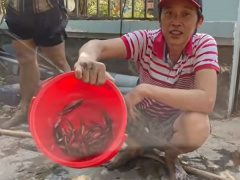 Ảnh bìa bài viết 742754