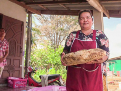 Ảnh bìa bài viết 742630