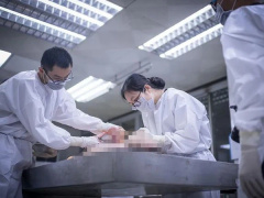 Ảnh bìa bài viết 742631