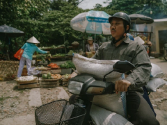 Ảnh bìa bài viết 742951