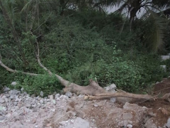 Ảnh bìa bài viết 743056