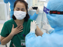 Ảnh bìa bài viết 743066