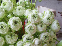 Ảnh bìa bài viết 742871