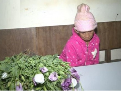 Ảnh bìa bài viết 742948