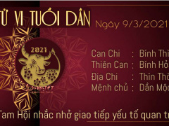 Ảnh bìa bài viết 742873
