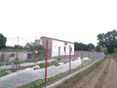 Ảnh bìa bài viết 743235