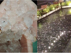 Ảnh bìa bài viết 743449