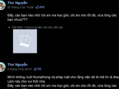 Ảnh bìa bài viết 743402
