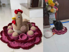 Ảnh bìa bài viết 743926