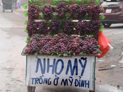 Ảnh bìa bài viết 743867