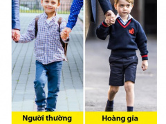 Ảnh bìa bài viết 743923