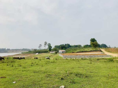 Ảnh bìa bài viết 744385