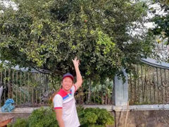 Ảnh bìa bài viết 744386