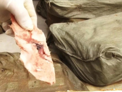 Ảnh bìa bài viết 744245