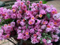 Ảnh bìa bài viết 744568